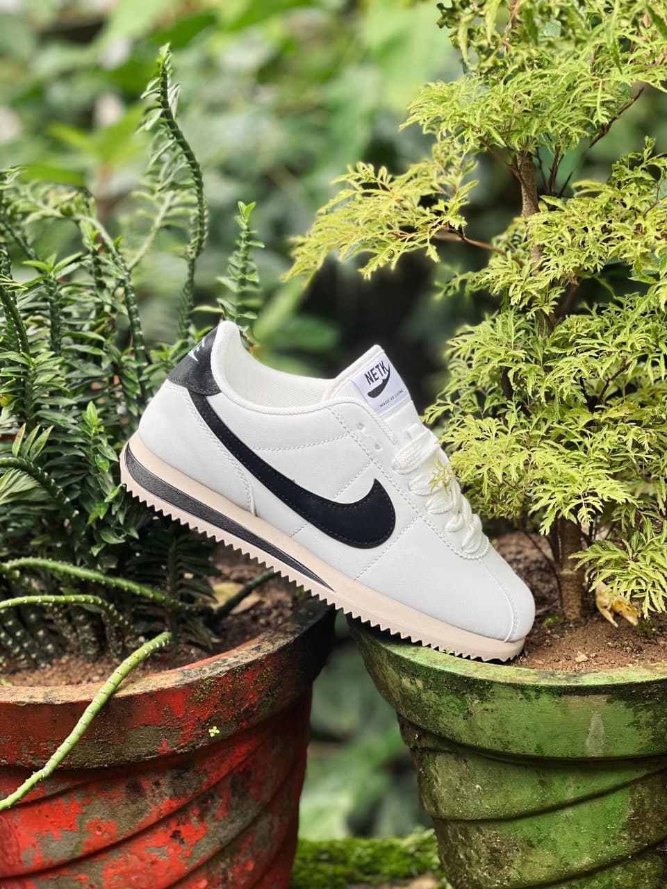 STOCK CLEARANCE🫣
IMPORTED SHOE🔥